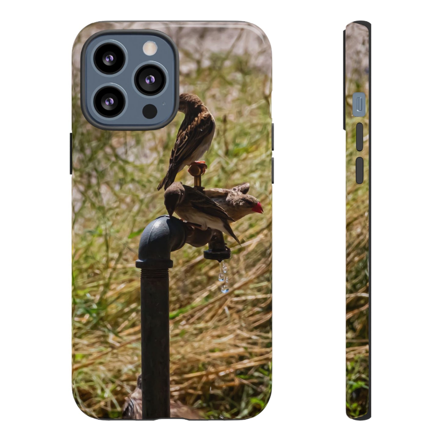 Tough Case - Birds at A Dripping Tap iPhone 13 Pro Max Glossy