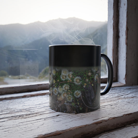 Colour Morphing Mug, 11oz - Australian Wildflower Collection