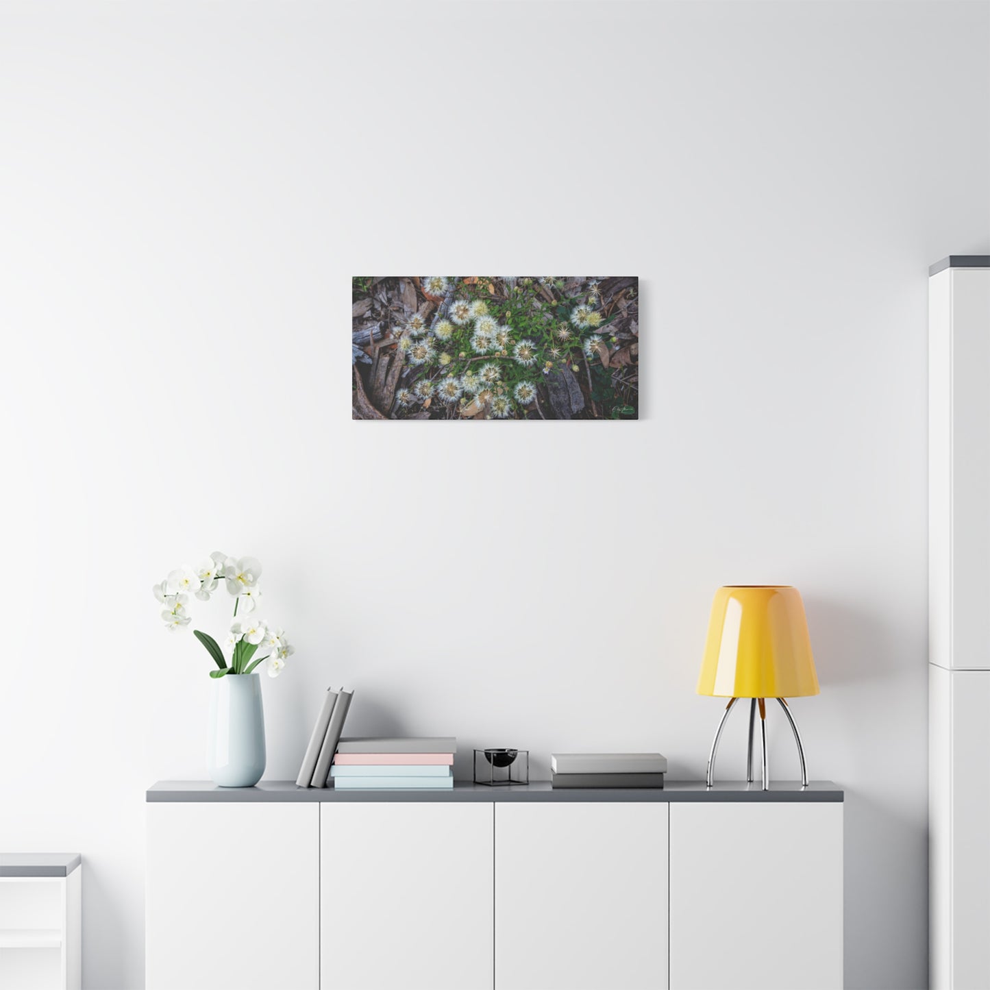 Matte Canvas, Stretched, 1.25" - Australian Wildflower Collection