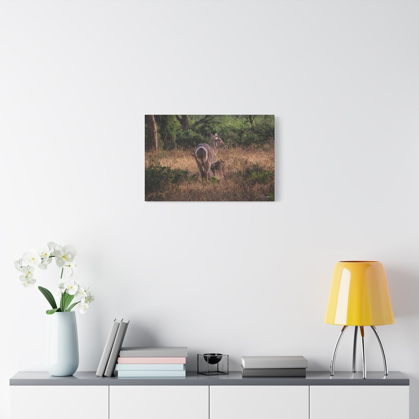 Matte Canvas, Stretched, 1.25" - Waterbuck and Baby