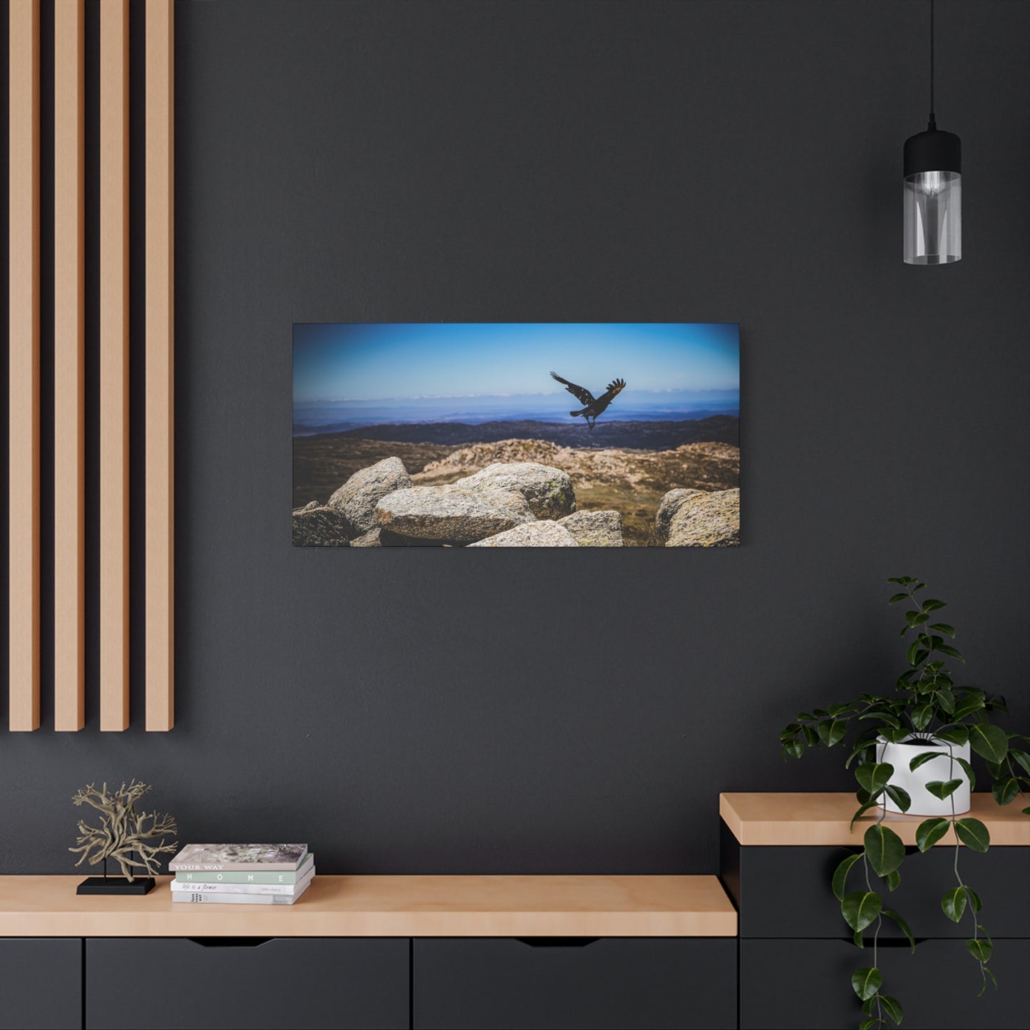 Little Raven Mt Kosciuszko Canvas Print