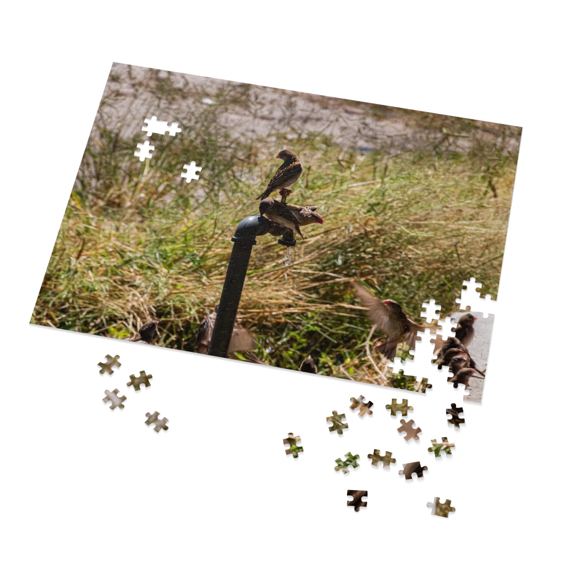 African Birds Jigsaw Puzzle with Tin