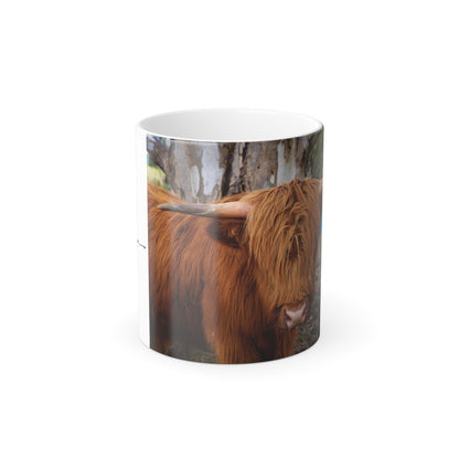 Colour Morphing Mug, 11oz - Scottish Highland Cattle