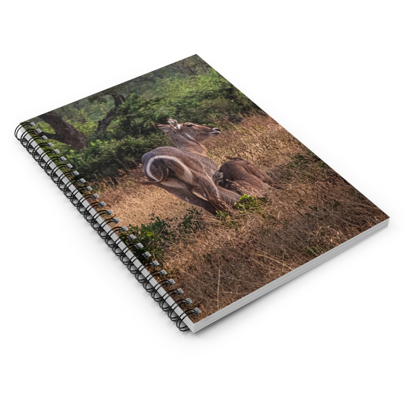 Spiral Notebook - Ruled Line - Waterbuck and Baby