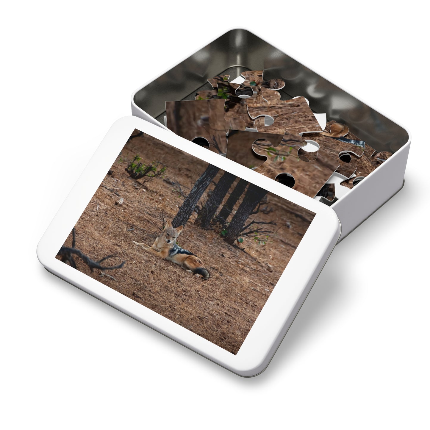 Jackal Photo Jigsaw Puzzle with Tin