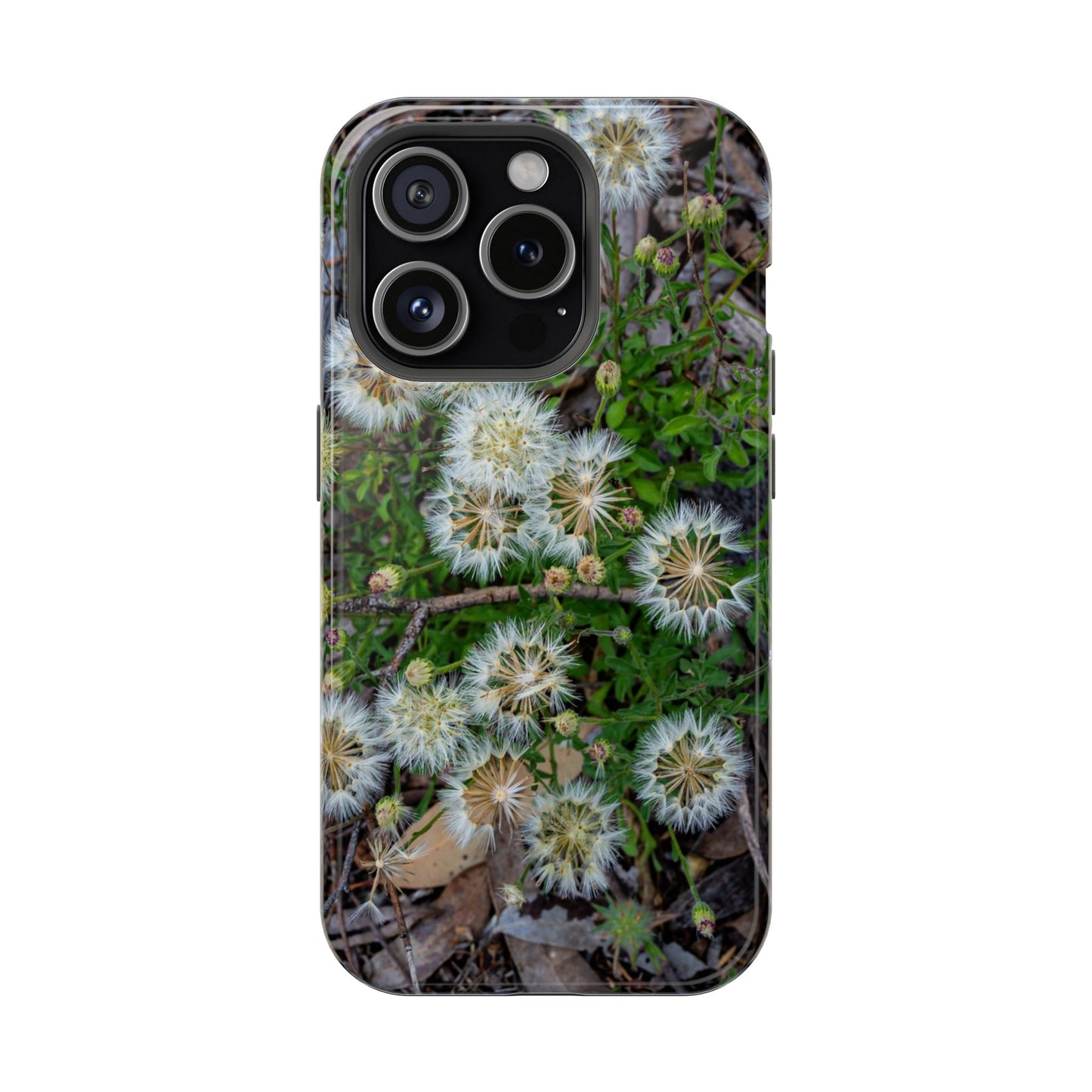 Magsafe® Compatible Tough Cases - Australian Wildflower Collection