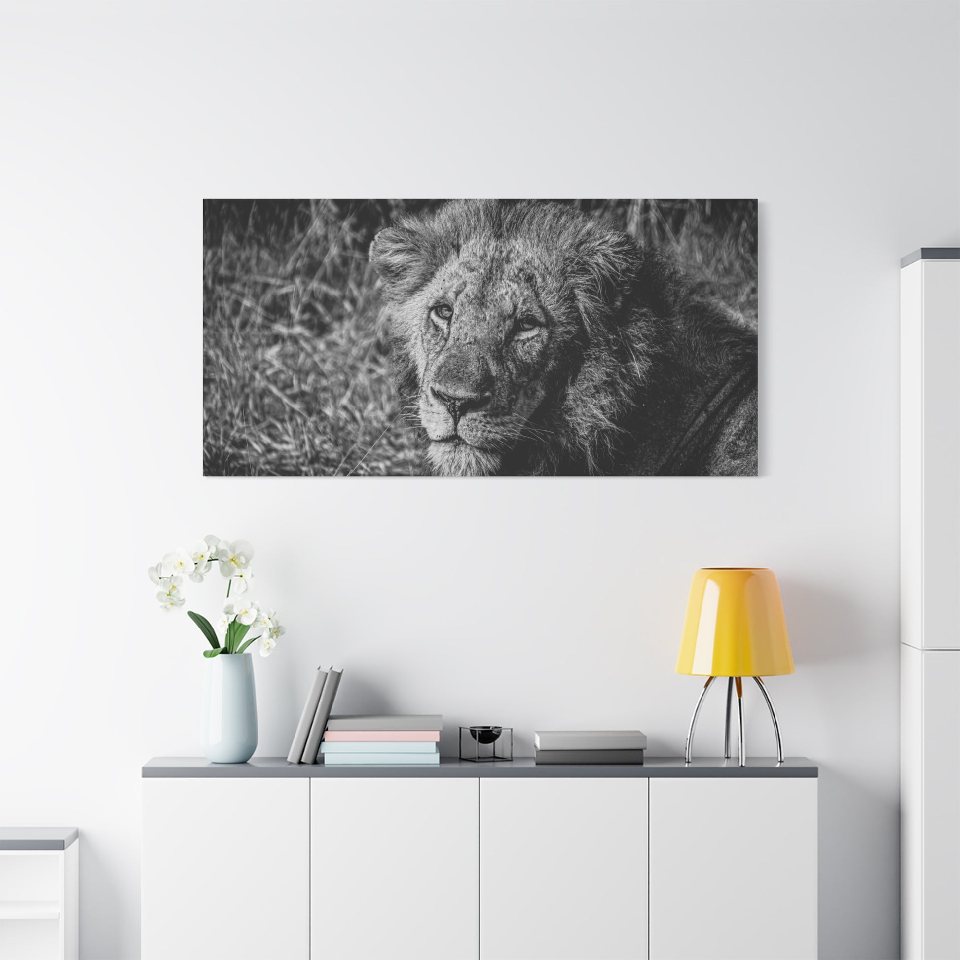 Old Lion Canvas Print B&W