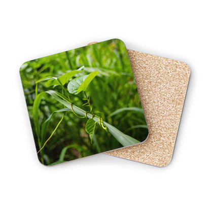 Fiji Vine Coasters Square 3.7" x 3.7" 1pc