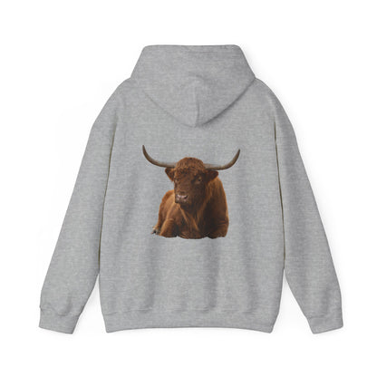 Highland Cattle Hoodie