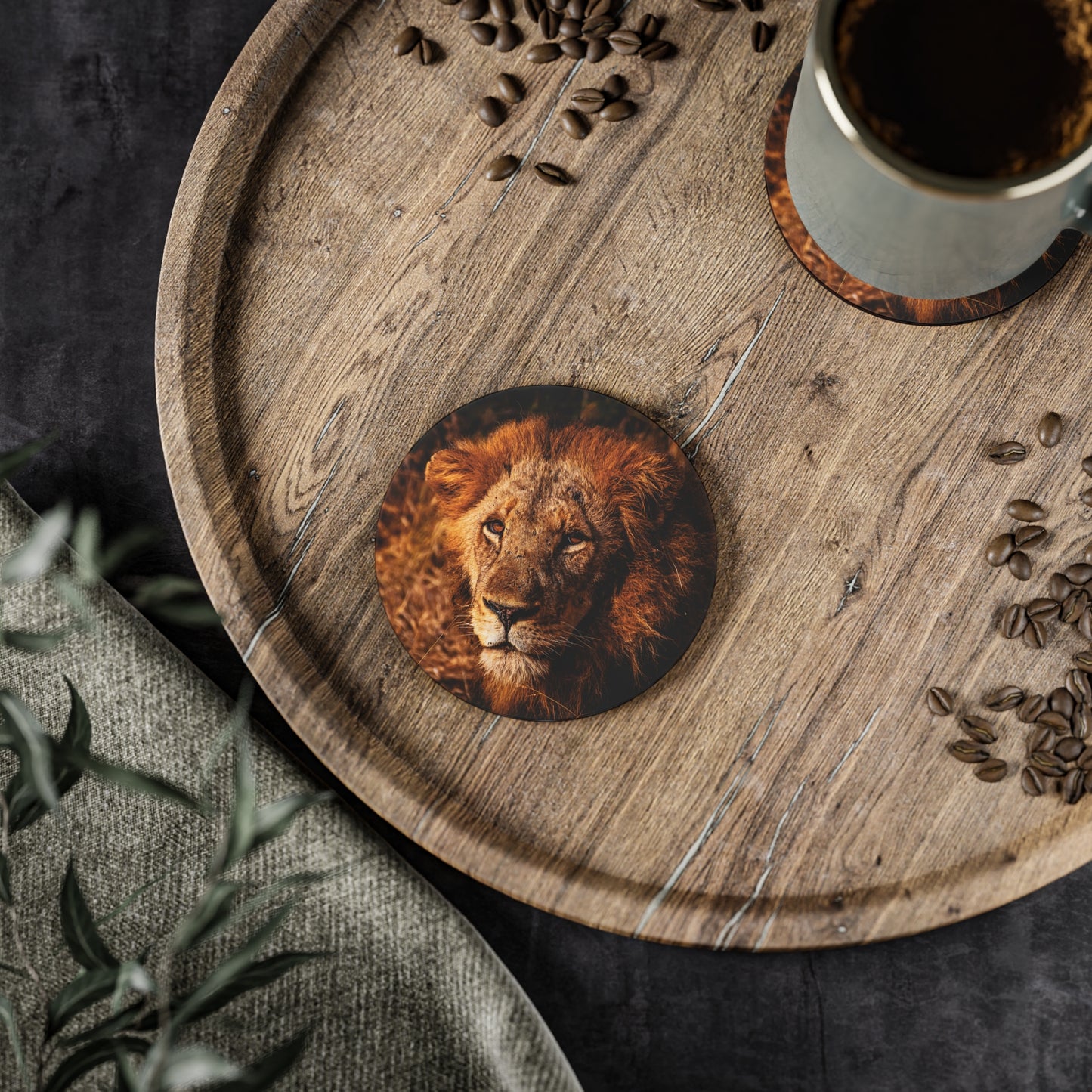 Male Lion Coasters