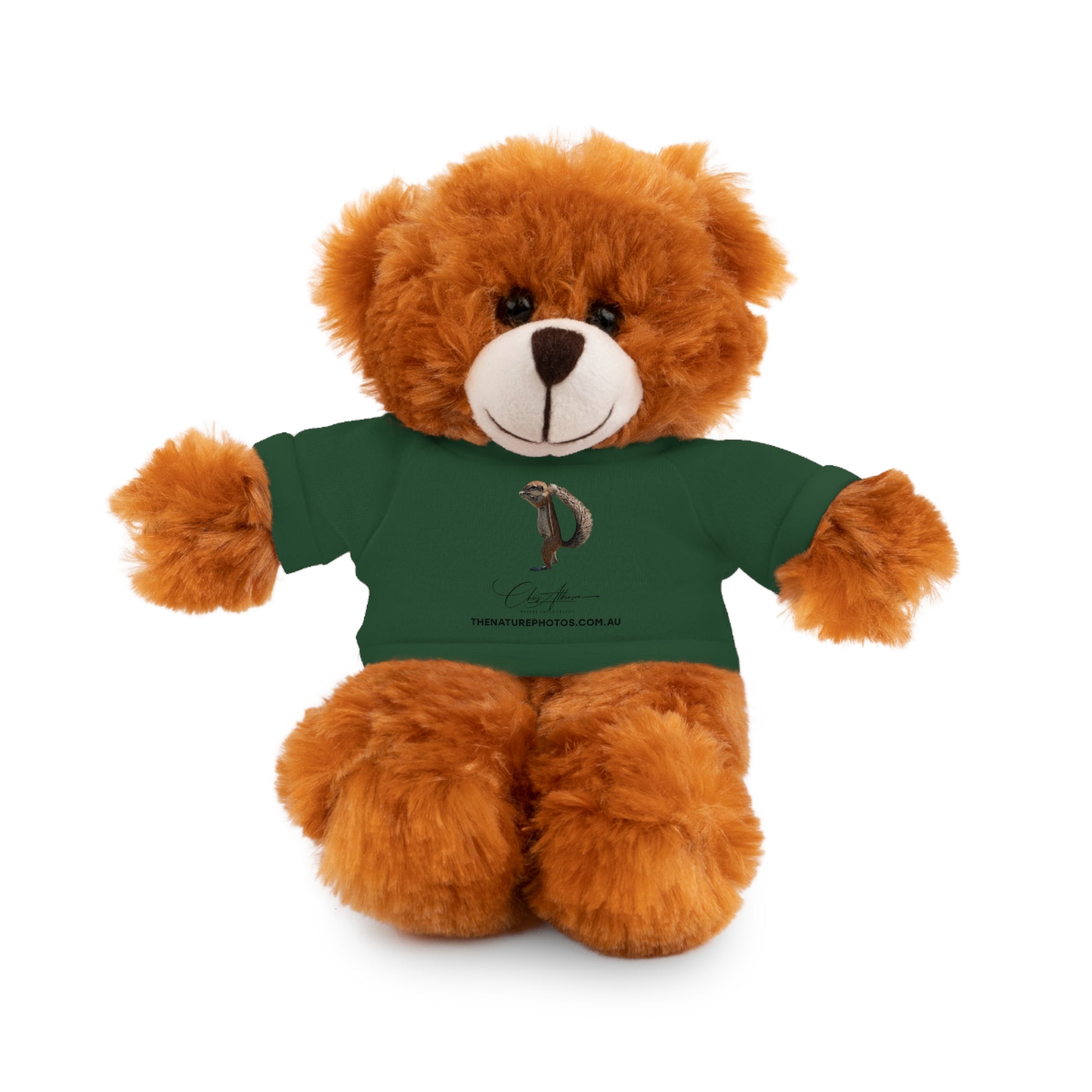 Teddy Bear with Tee Forest Green Bear 8"