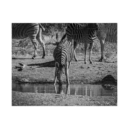 African Zebra Jigsaw Puzzle B&W 252 pcs (Horizontal)