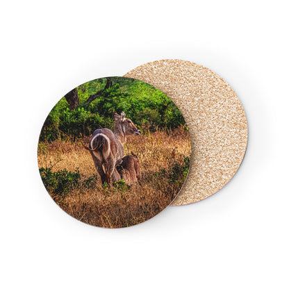 Waterbuck Baby Animal Coasters Round 3.7" x 3.7" 1pc