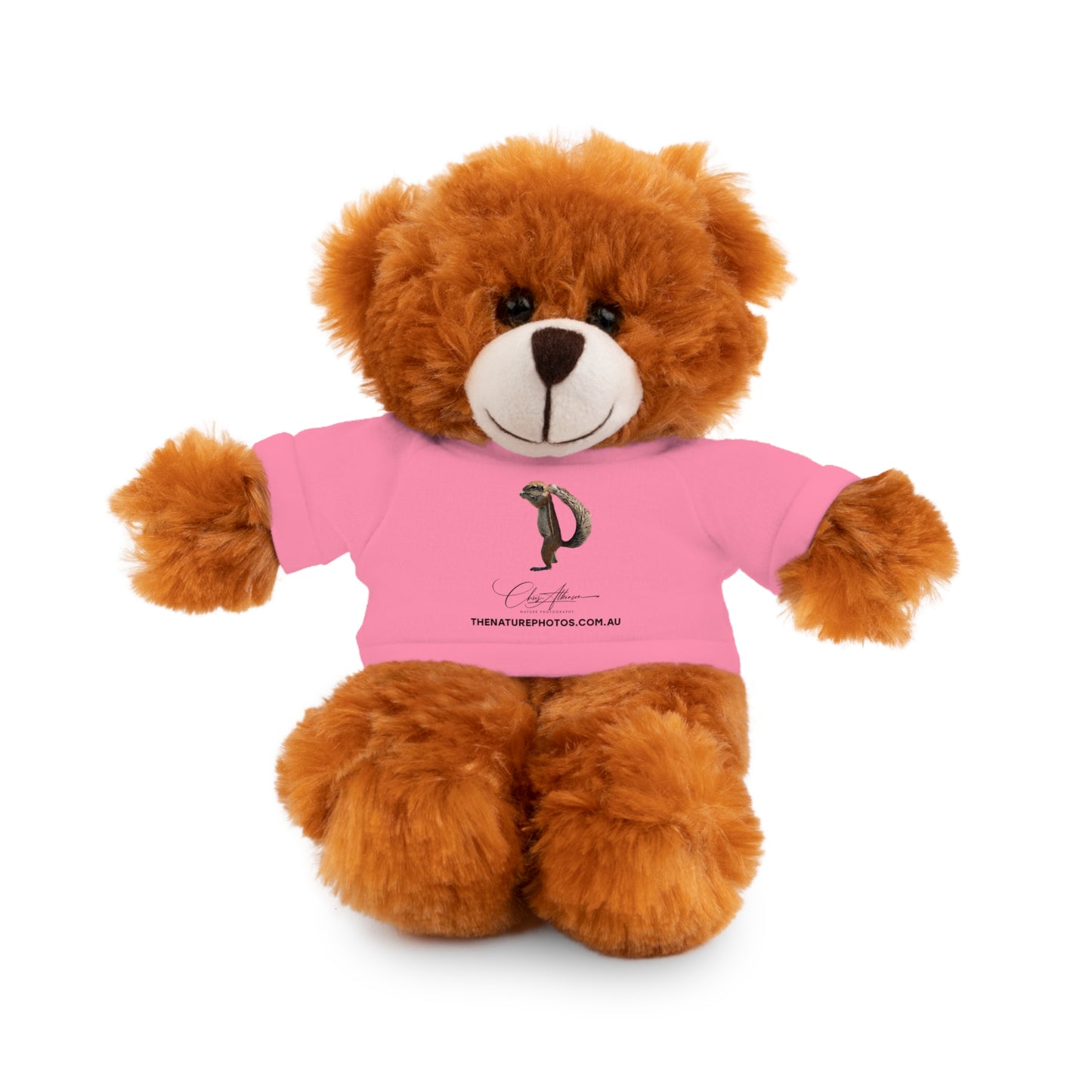 Teddy Bear with Tee