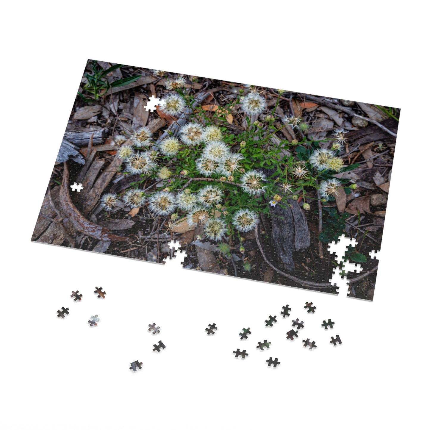 Jigsaw Puzzle (30, 110, 252, 500, 1000 Piece) - Australian Wildflower Collection