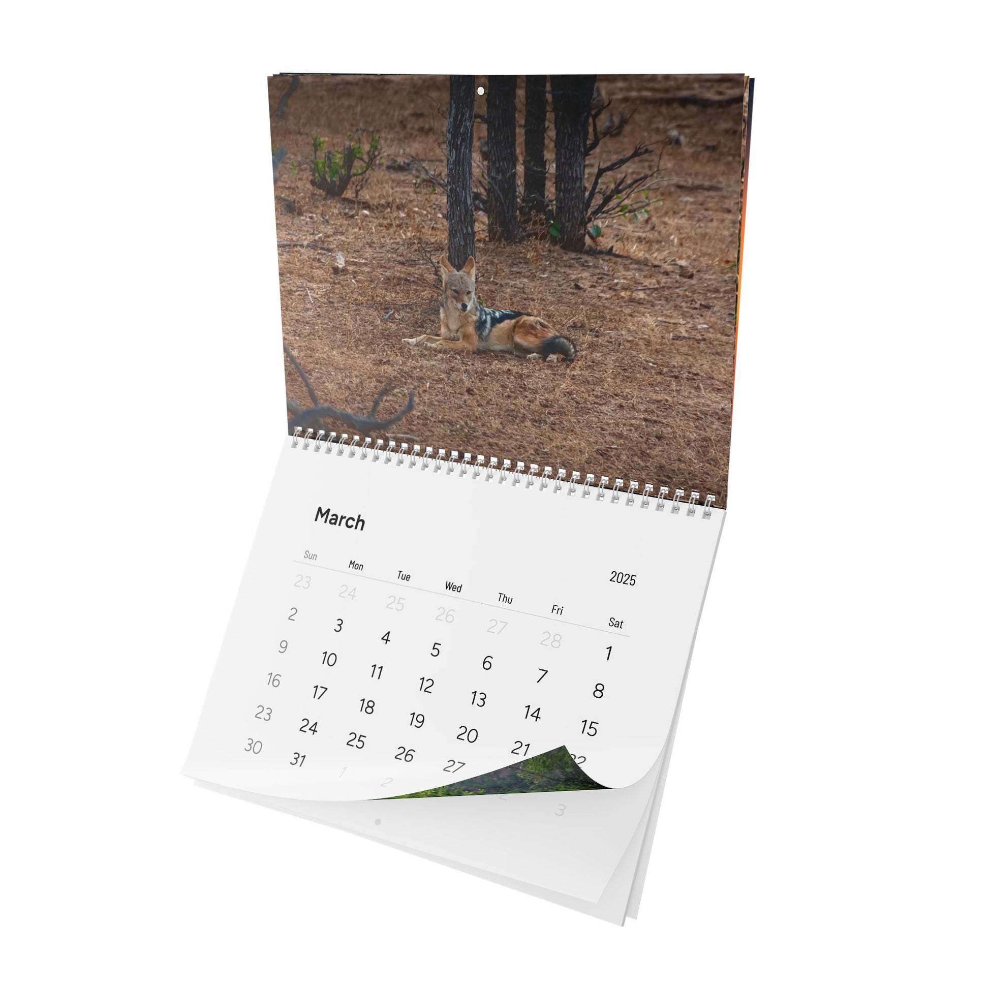 2025 Nature Wildlife Wall Calendar 11" x 8.2" Matte