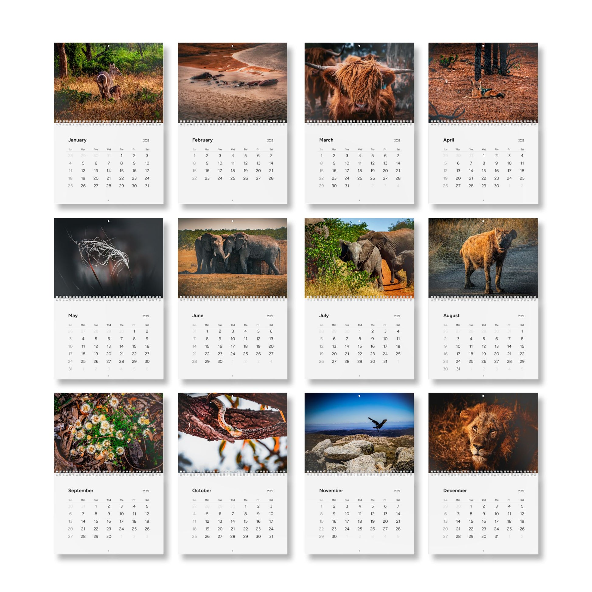 2026 Nature Wildlife Wall Calendar