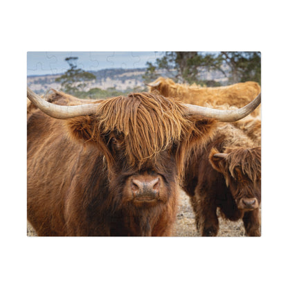 Scottish Highland Cattle Puzzle with Tin 10" × 8" (110 pcs)