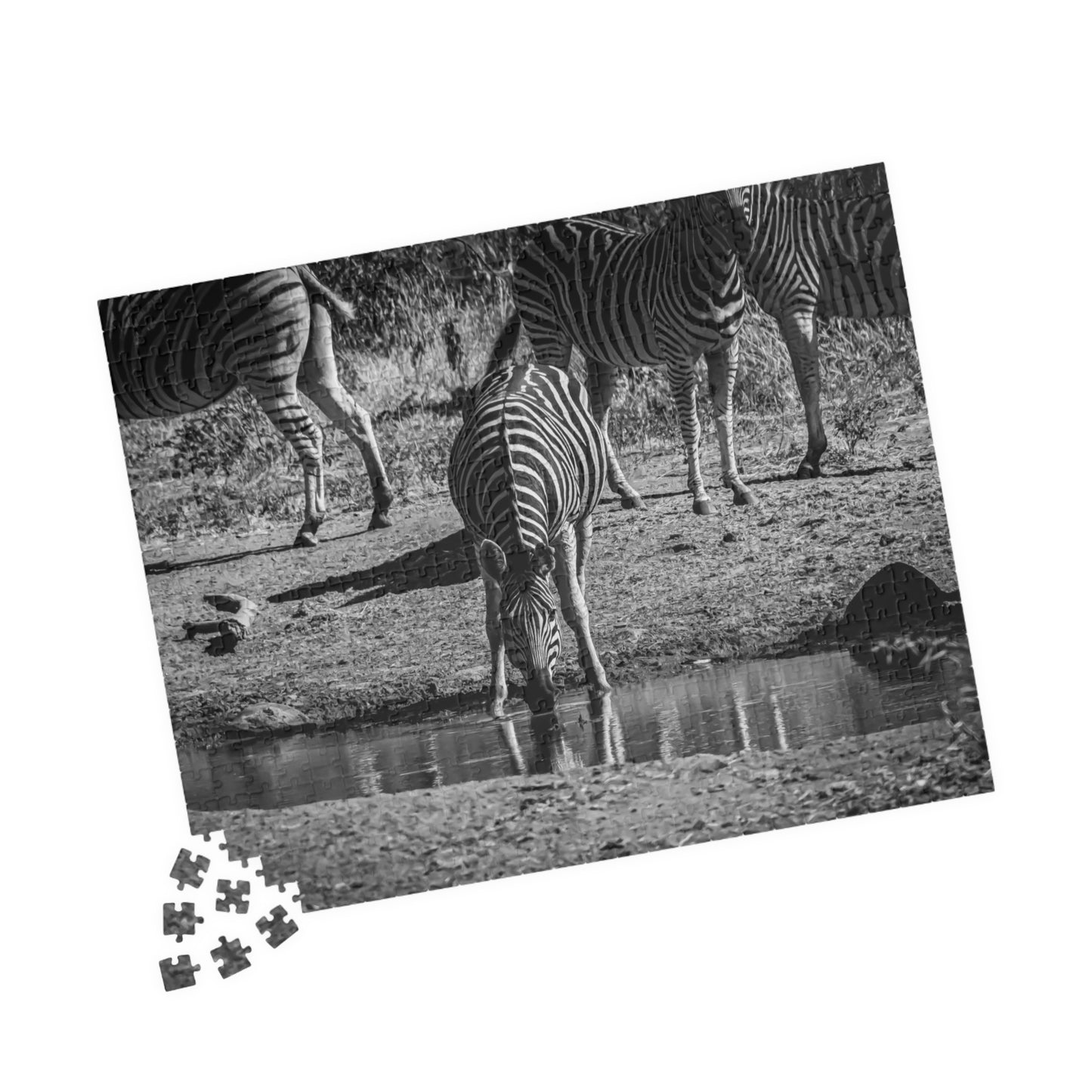 African Zebra Jigsaw Puzzle B&W