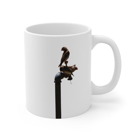 African Birds Mug 11oz