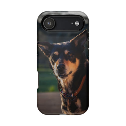 Magsafe® Compatible Tough Cases - Saba The Kelpie iPhone 17 Air Matte