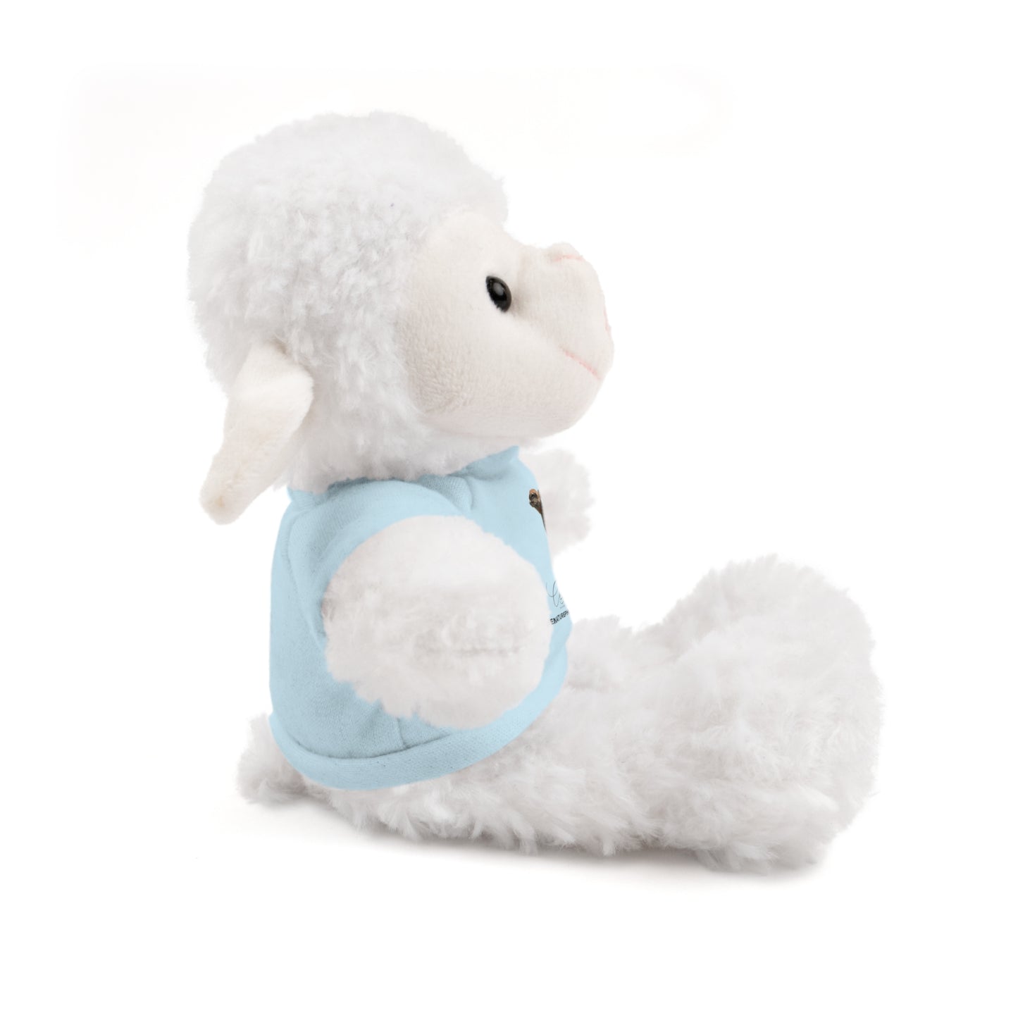 Teddy Sheep with Tee