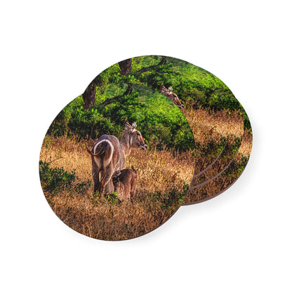 Waterbuck Baby Animal Coasters Round 3.7" x 3.7" 4pcs