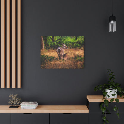 Waterbuck Nature Prints Matte Canvas