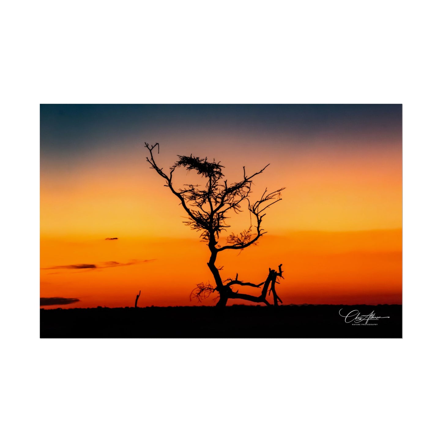 Rolled Posters - Sunset over the Kalahari