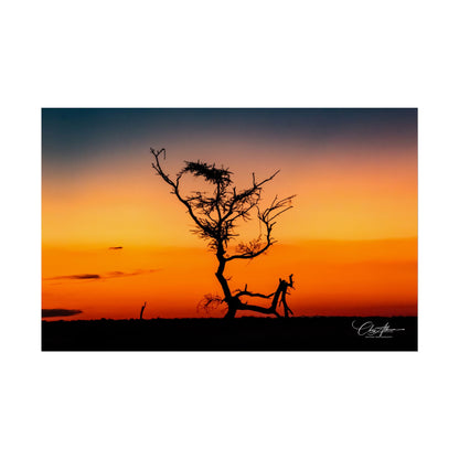 Rolled Posters - Sunset over the Kalahari