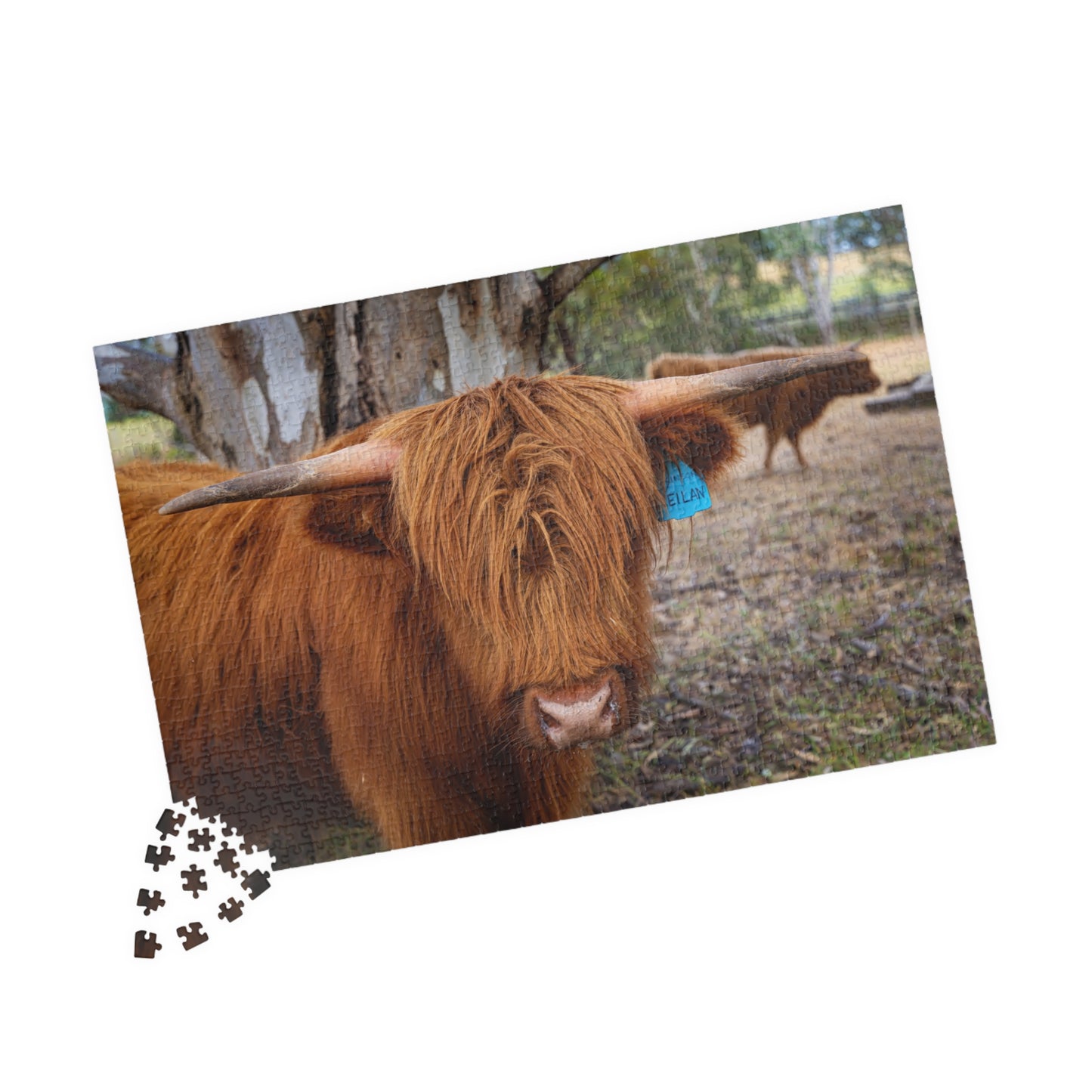 Scottish Highland Cattle Puzzle 1014 pcs (Horizontal)