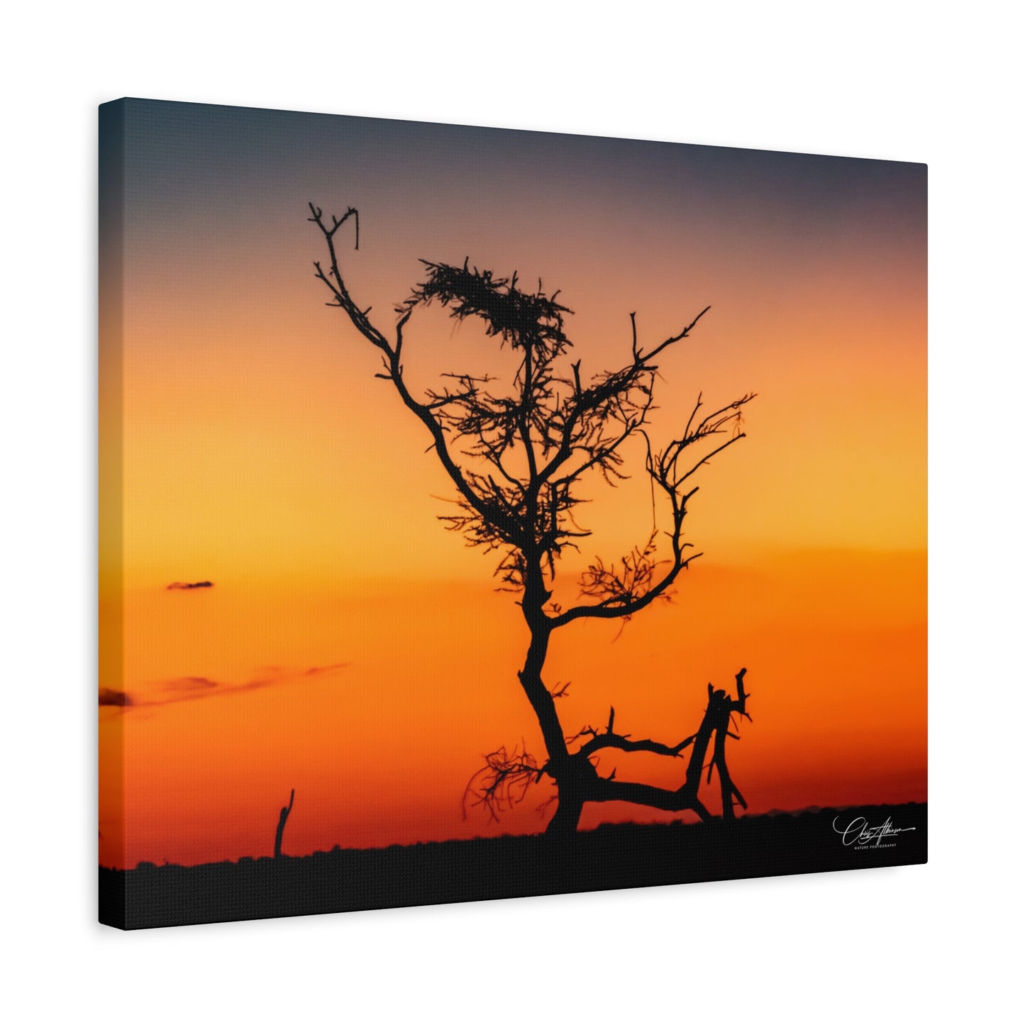 Matte Canvas, Stretched, 1.25" - Sunset over the Kalahari