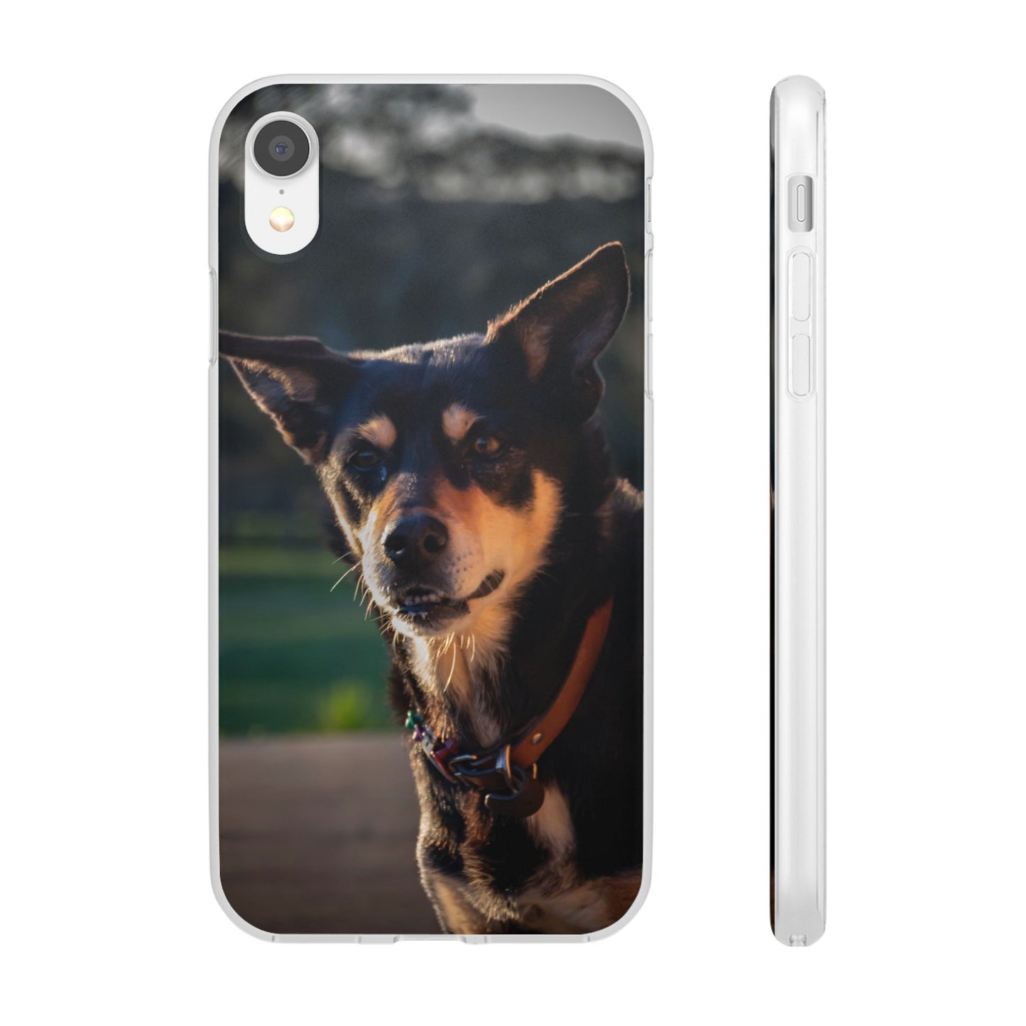 Kelpie Dog Flexi Case iPhone XR with gift packaging