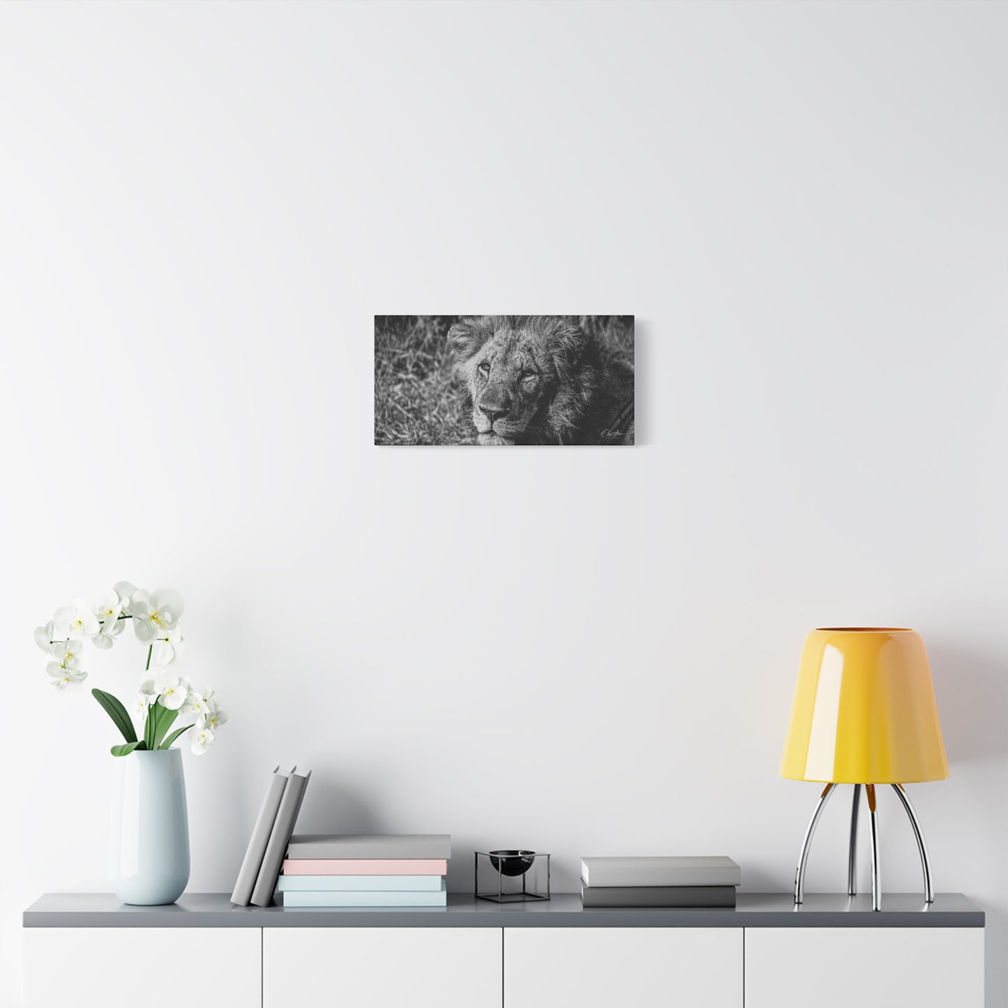 Old Lion Canvas Print B&W