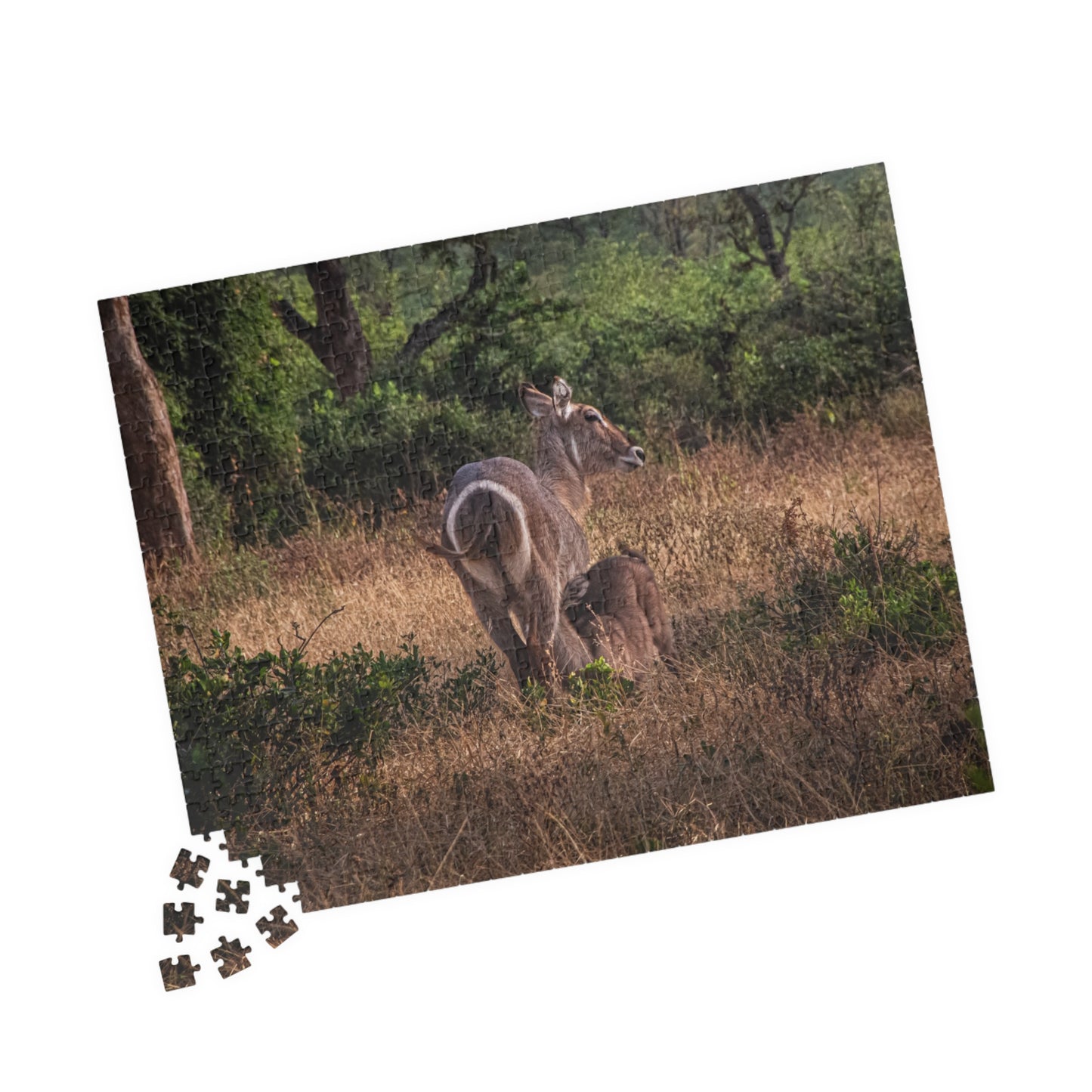 Puzzle (110, 252, 520, 1014-piece) - Waterbuck and Baby