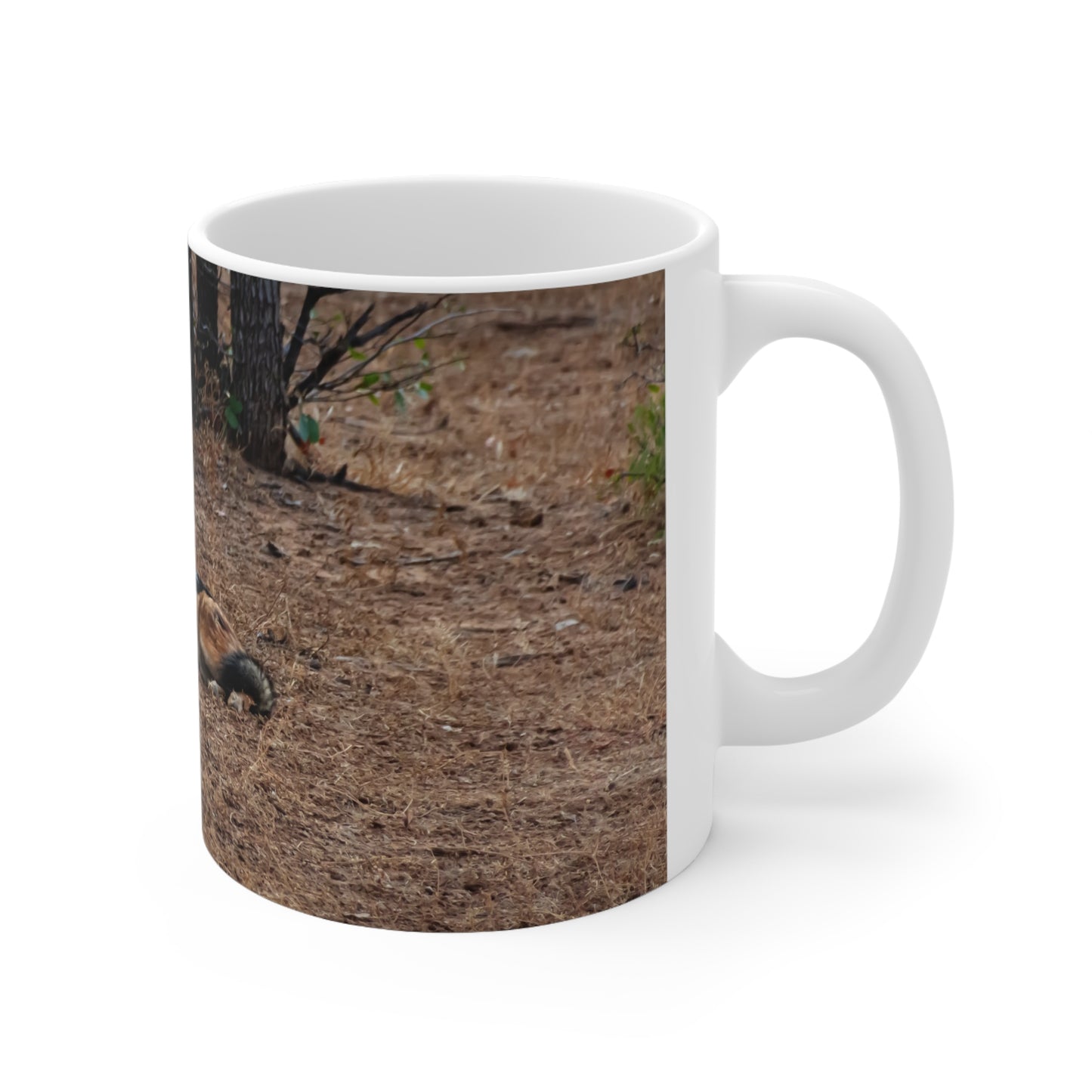 Black Backed Jackal Mug