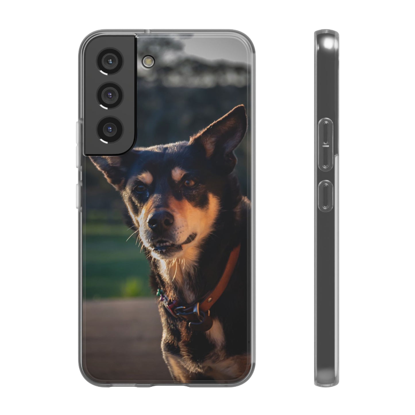 Kelpie Dog Flexi Case Samsung Galaxy S22