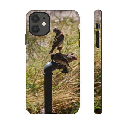 Tough Case - Birds at A Dripping Tap iPhone 11 Glossy