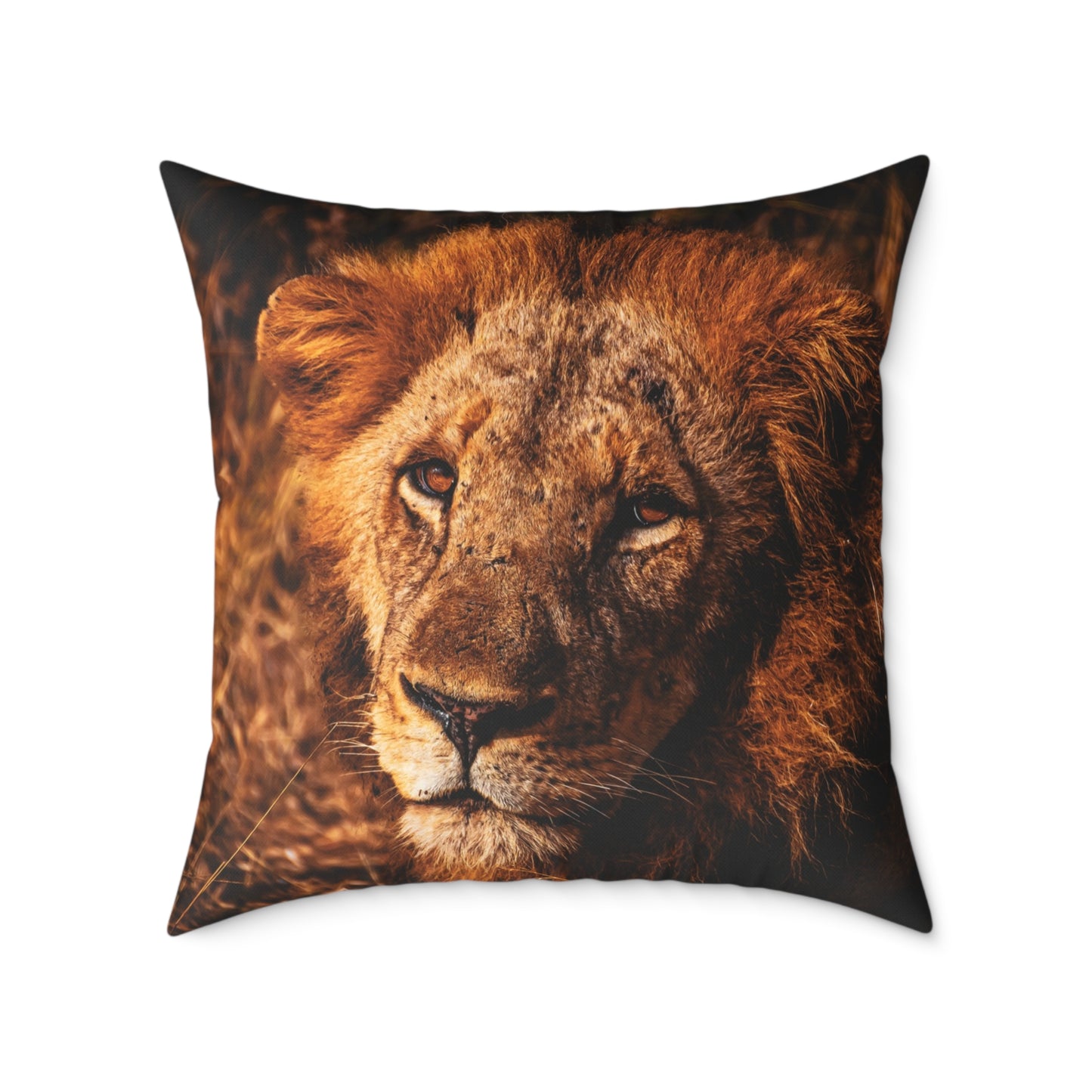 Old Lion Pillow 26" × 26"