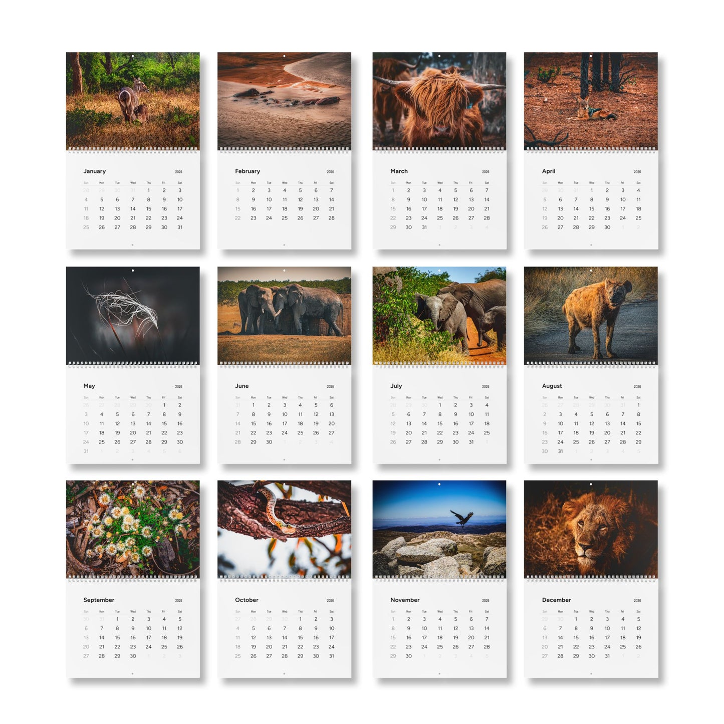 2026 Nature Wildlife Wall Calendar