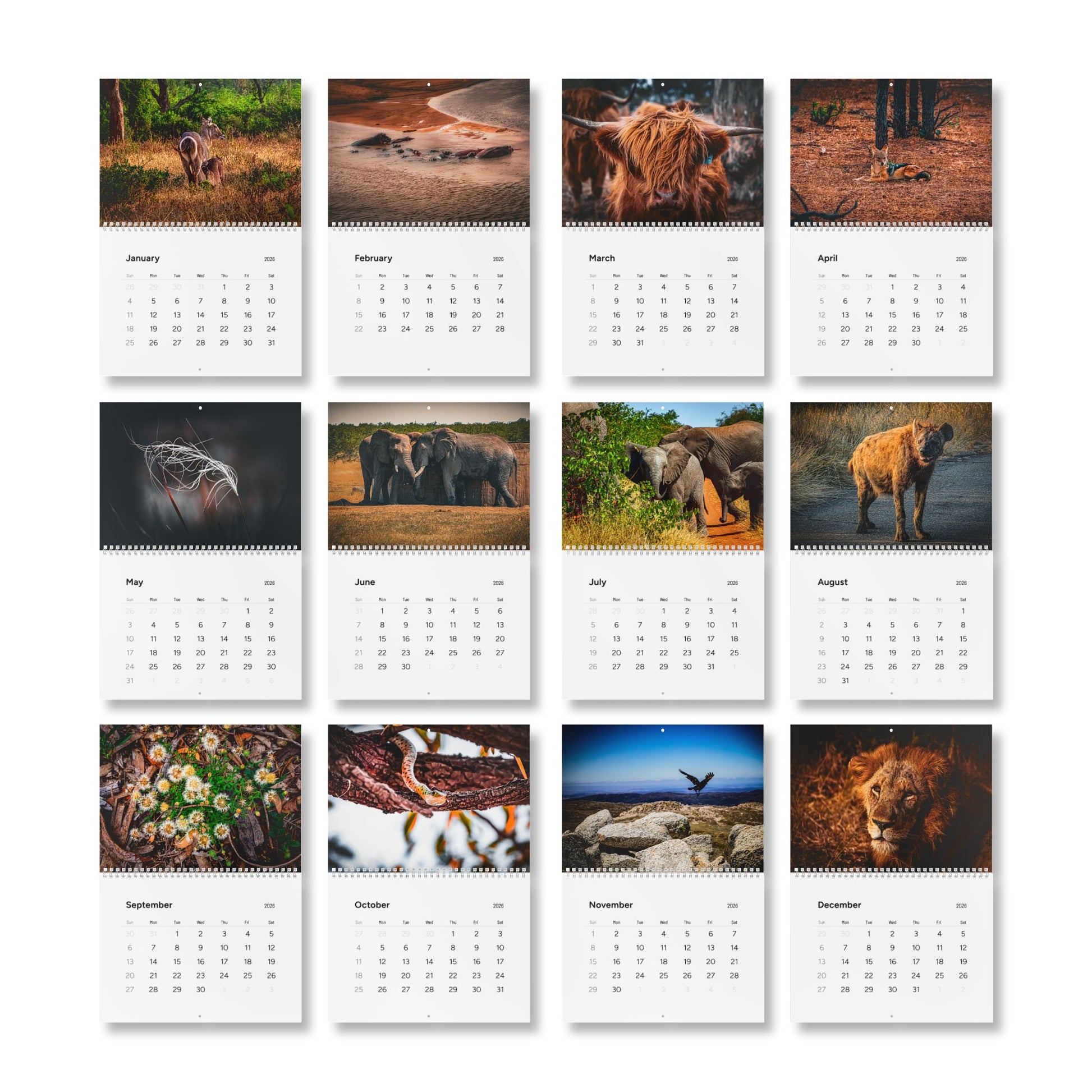 2026 Nature Wildlife Wall Calendar