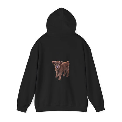 Highland Calf Hoodie Black
