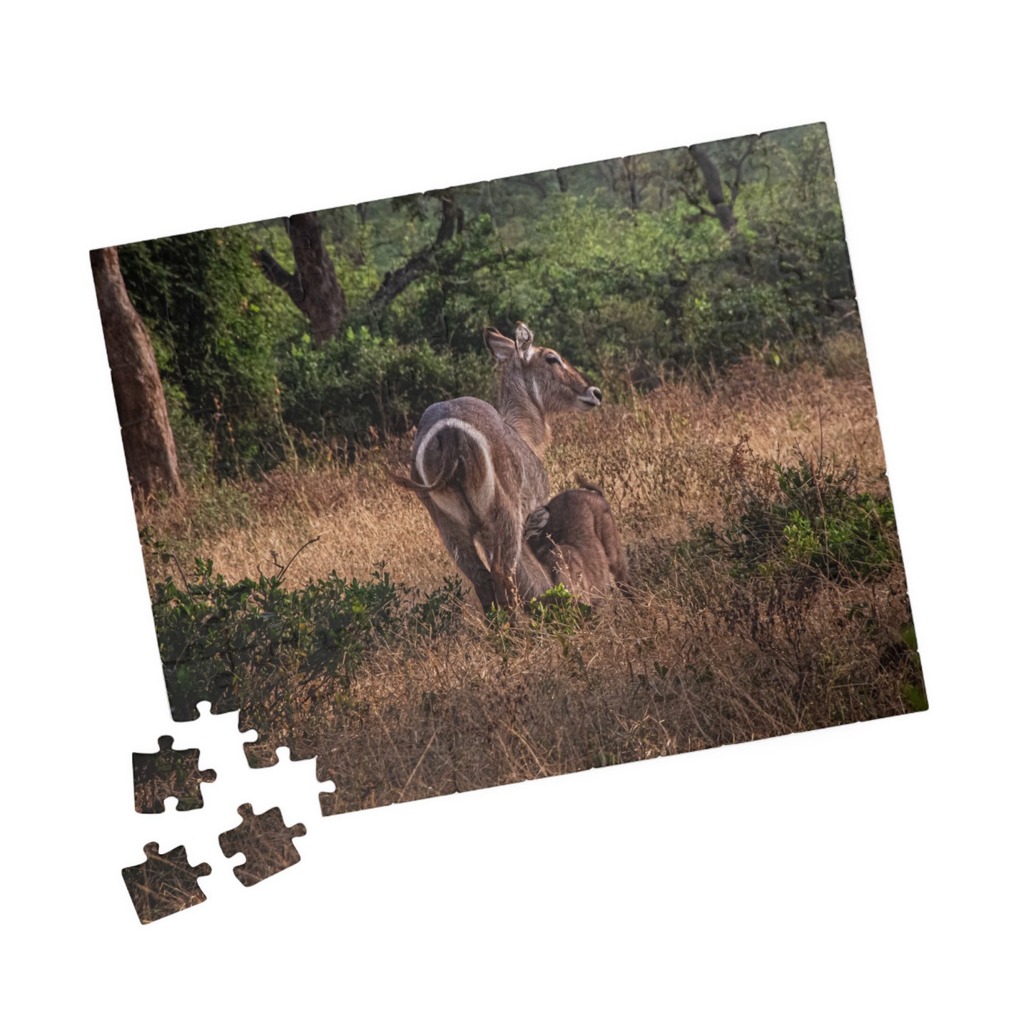 Puzzle (110, 252, 520, 1014-piece) - Waterbuck and Baby