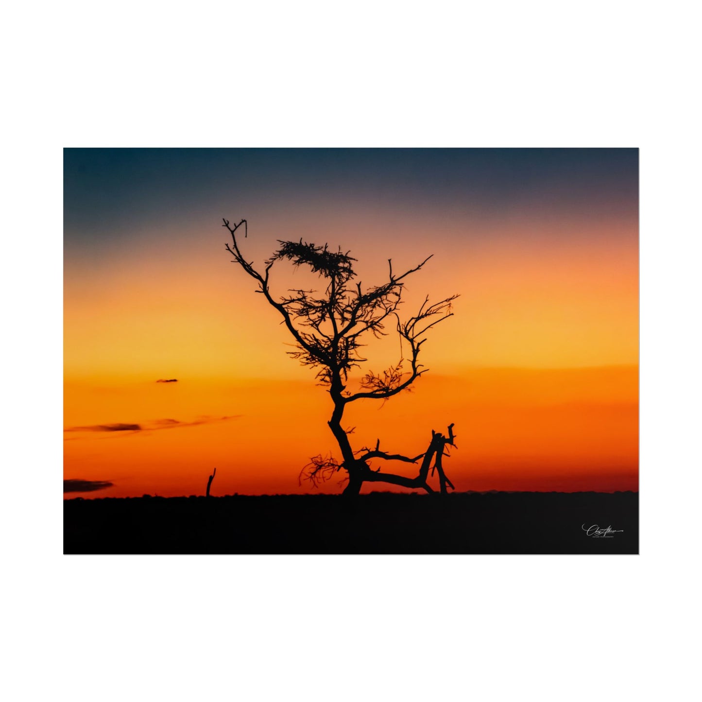 Rolled Posters - Sunset over the Kalahari