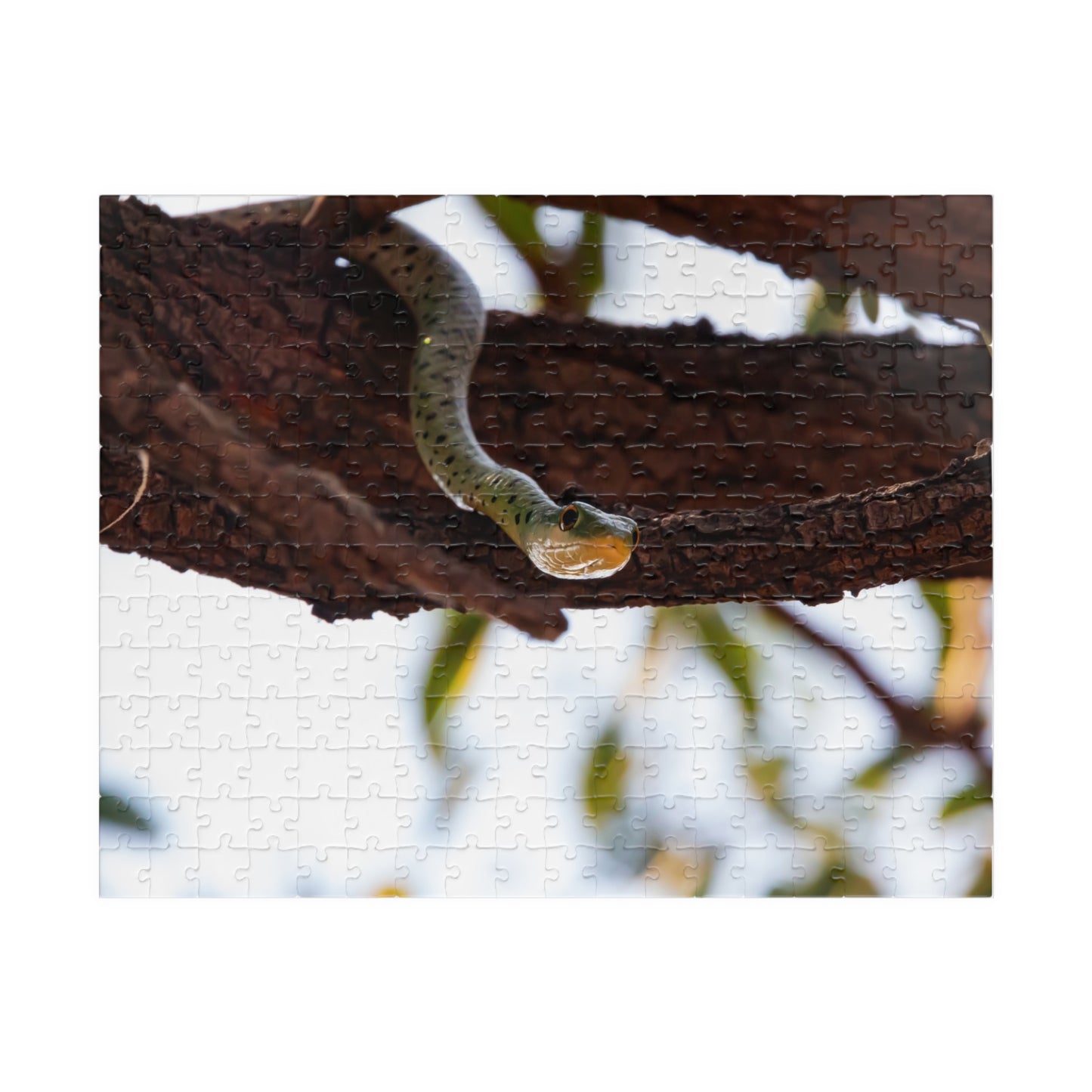 Puzzle (110, 252, 520, 1014-piece) - Spotted Bush Snake