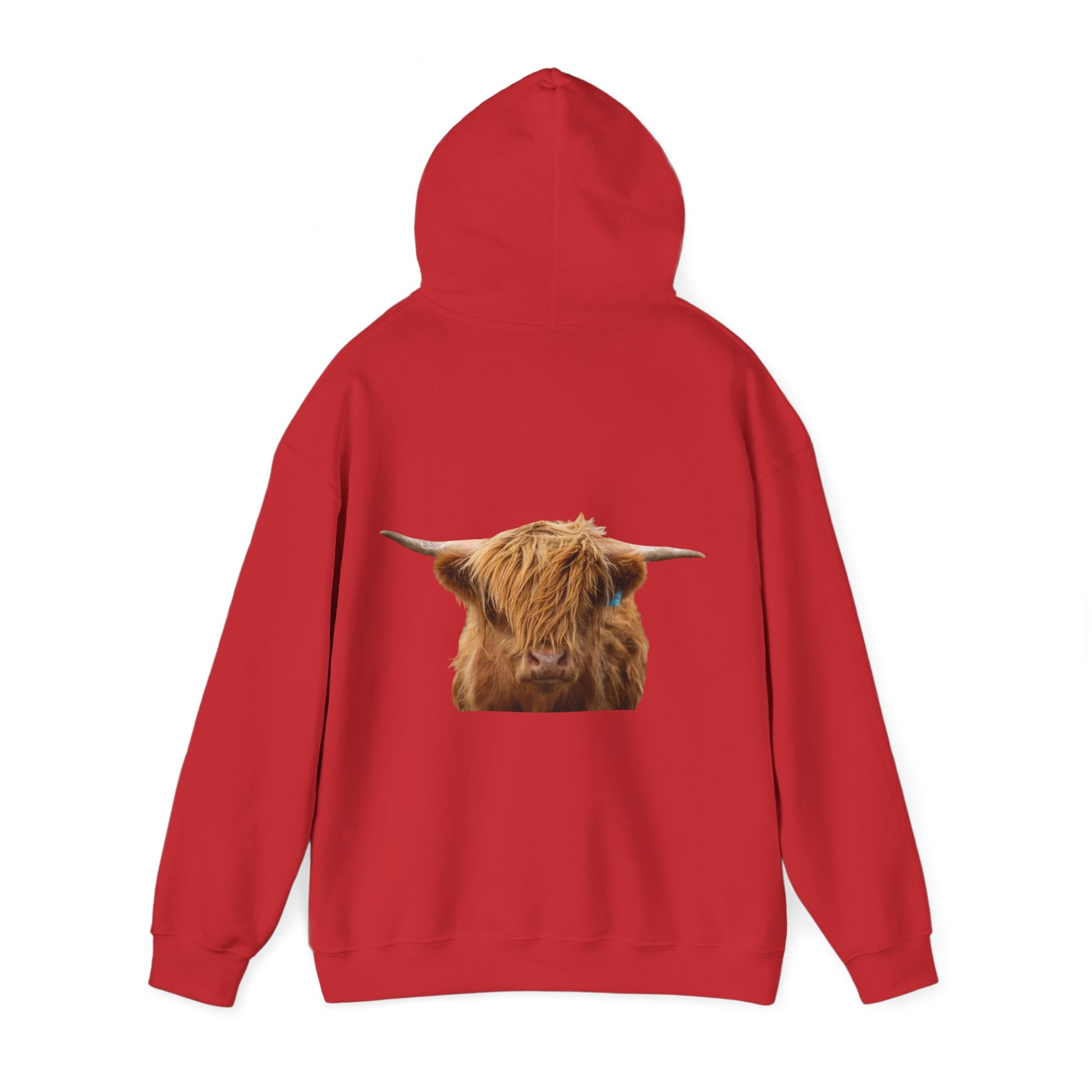 Highland Cow Hoodie