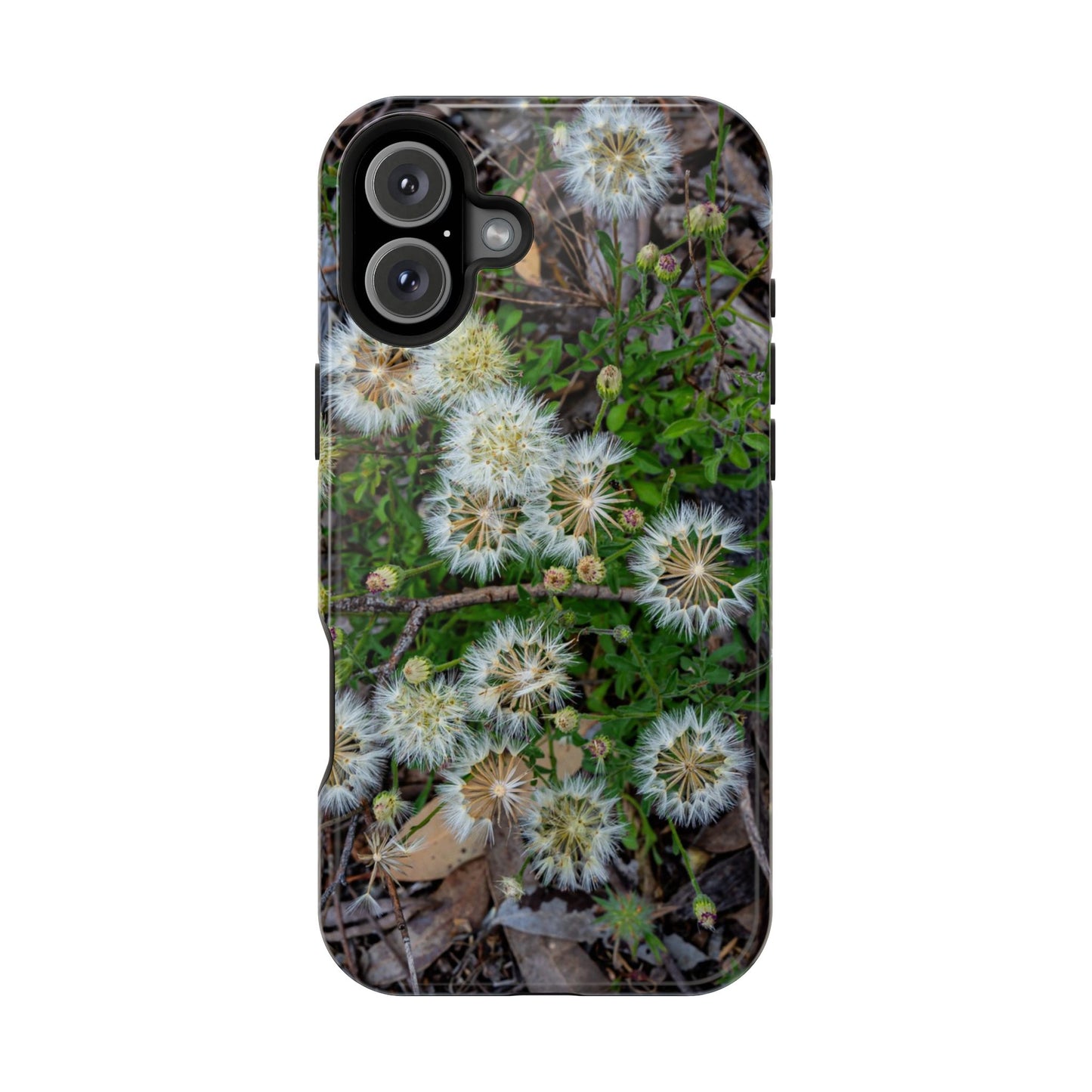 Magsafe® Compatible Tough Cases - Australian Wildflower Collection