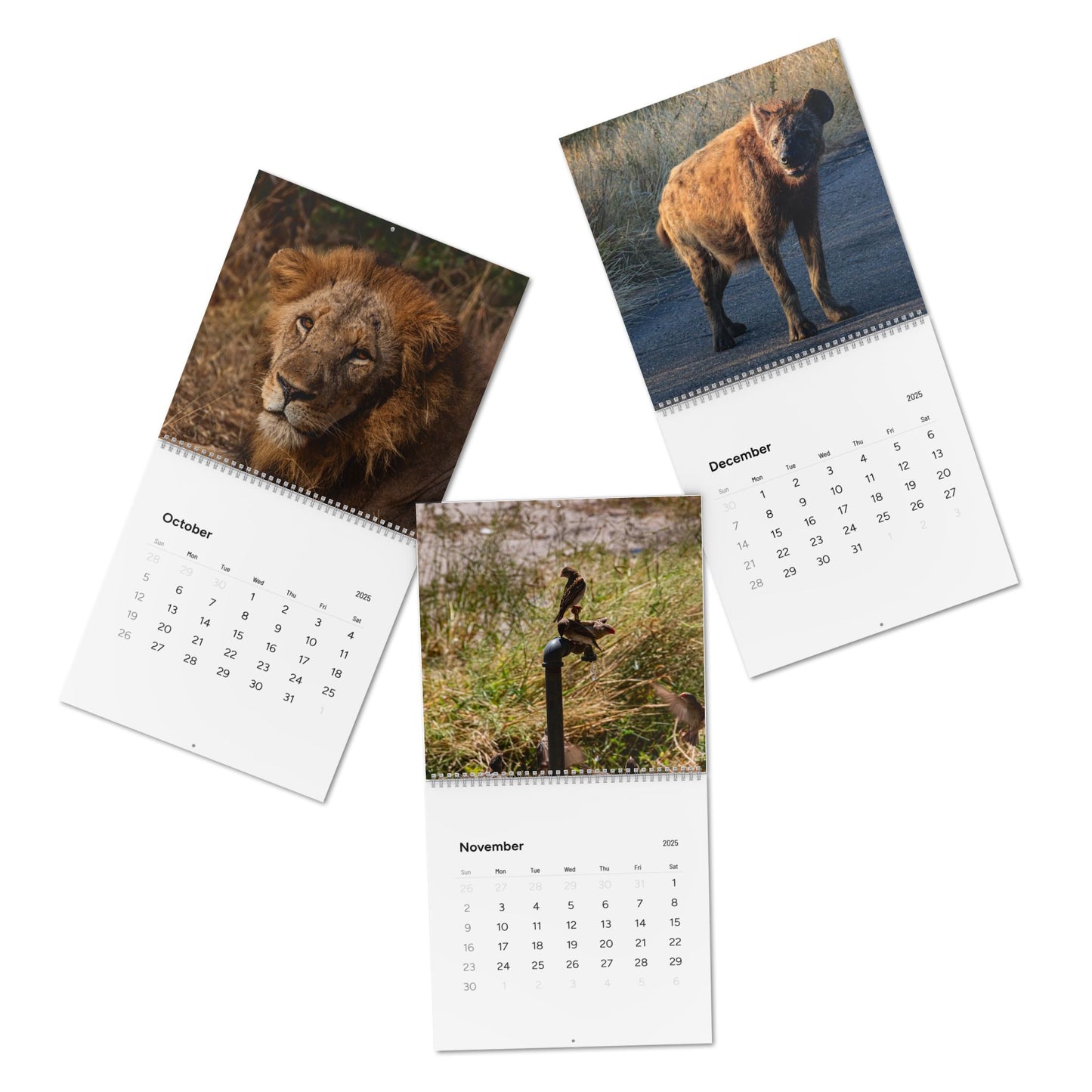 2025 Nature Wildlife Wall Calendar