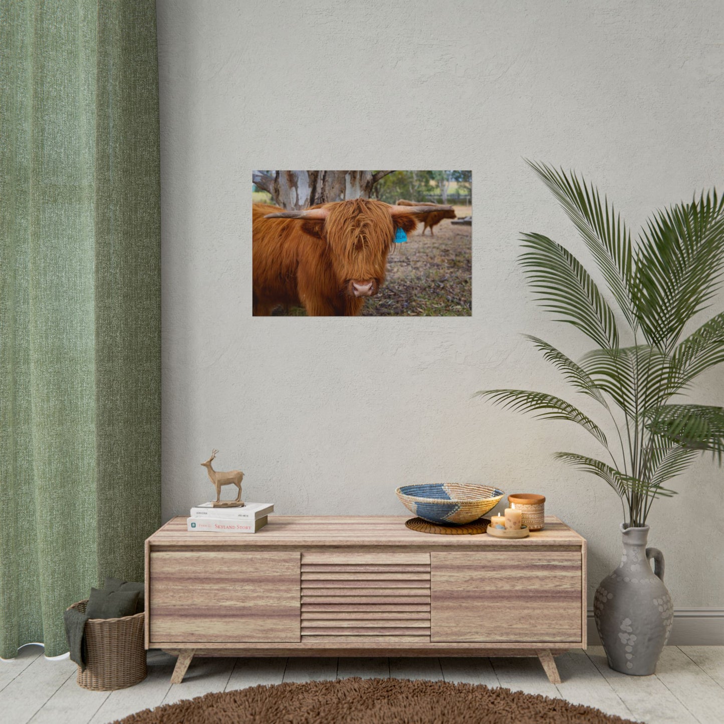 Rolled Posters - Scottish Highland Cattle