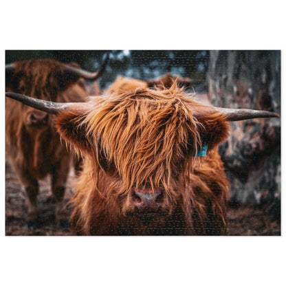 Scottish Highland Cattle Puzzle with Tin